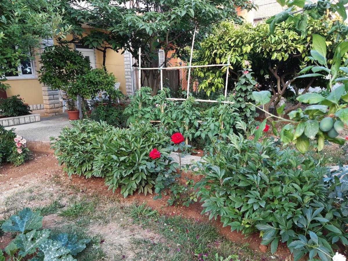 Apartment Jardin With Free Cowered Parking ซาดาร์ ภายนอก รูปภาพ