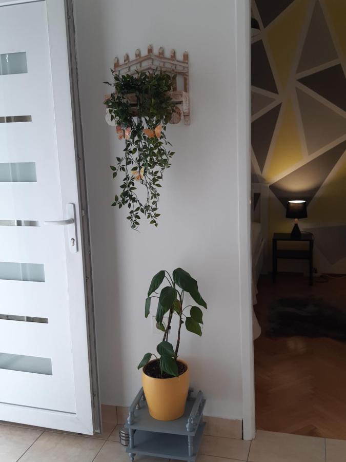 Apartment Jardin With Free Cowered Parking ซาดาร์ ภายนอก รูปภาพ
